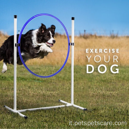 Migliore cani sportivi 3 PC Dog Agility Equipment